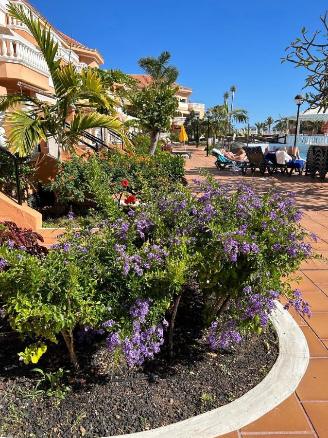 Comfort Apartment En Tenerife Royal Gardens Playa de las Americas  Esterno foto